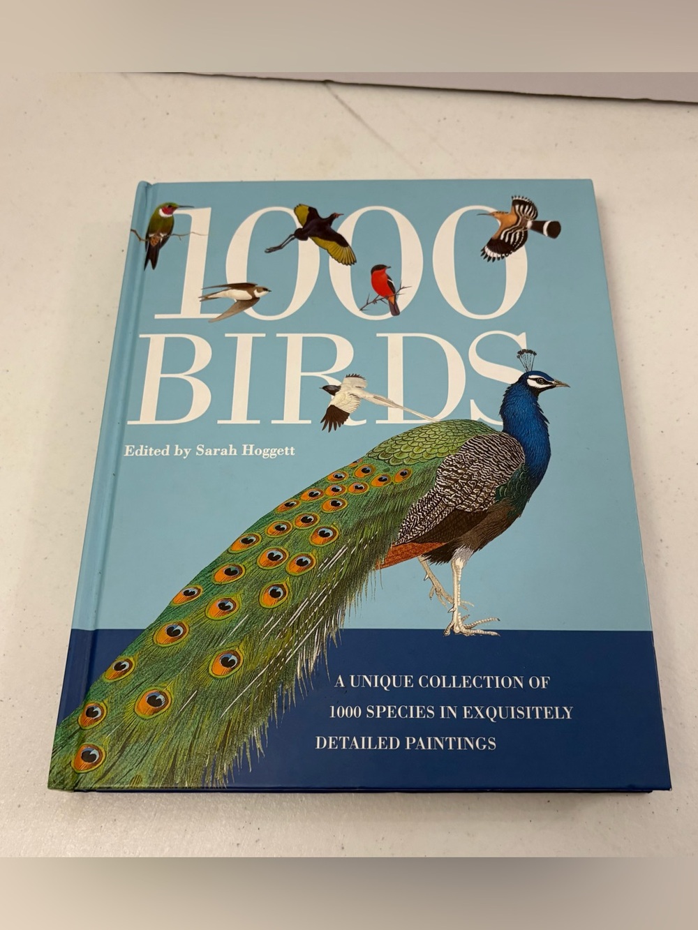 1,000 Birds A Unique Collection of 1,000 Species in Exquisitely Detailed Hoggett